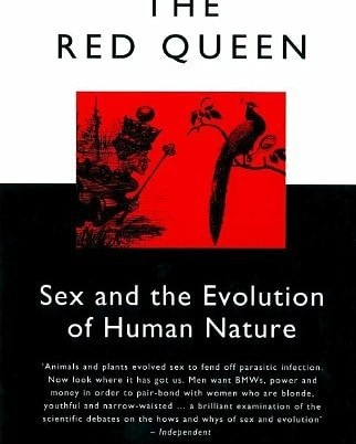 the-red-queen1.jpeg