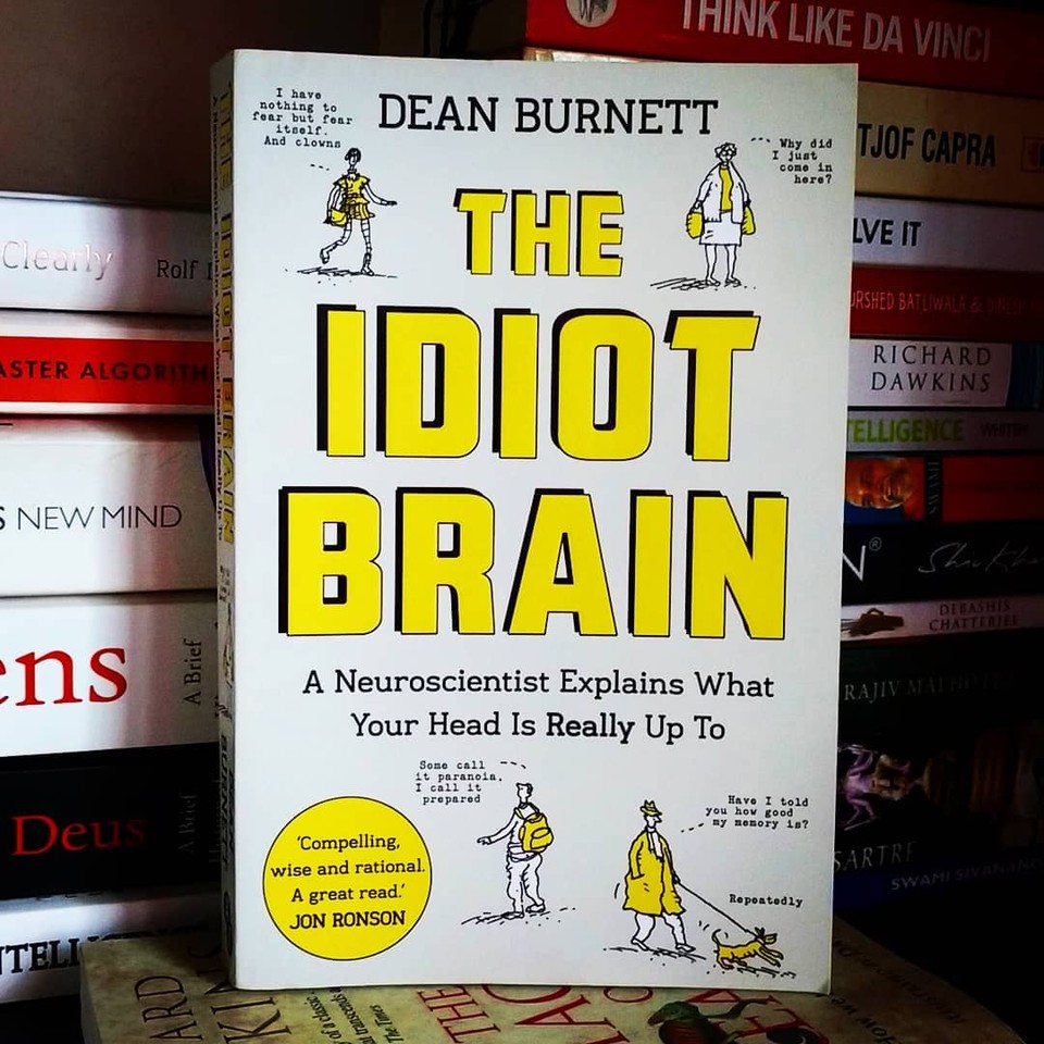 the-idiot-brain.jpeg