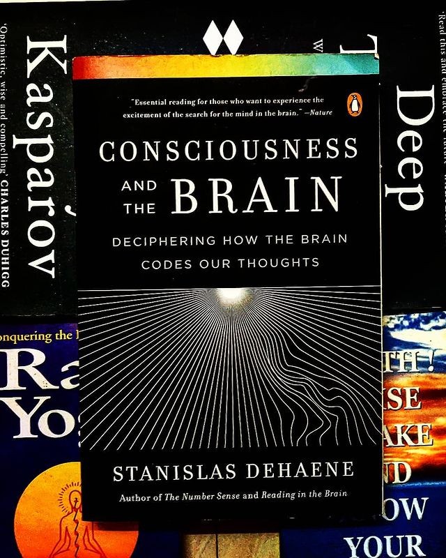 consiousness-and-the-brain.jpeg